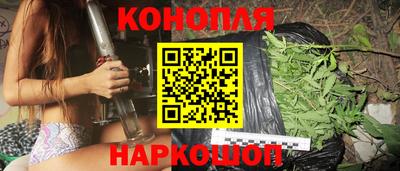 крисы Кинель
